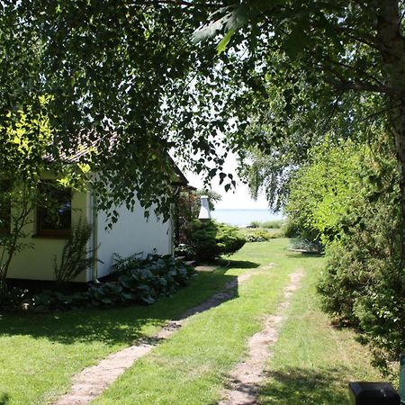 Villa Beata Nowe Warpno Εξωτερικό φωτογραφία