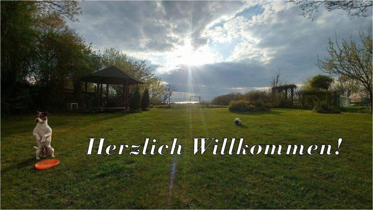Villa Beata Nowe Warpno Εξωτερικό φωτογραφία